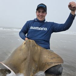 Además de chuchos, hay excelentes pejerreyes que se prenden a los cebos que apuntan a la variada, grandes brótolas que se disfrutan gratamente desde lo gastronómico y ya, algunos cañófilos, pinchan las primeras corvinas rubias. 