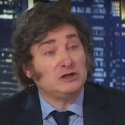 Javier Milei | Foto:CEDOC