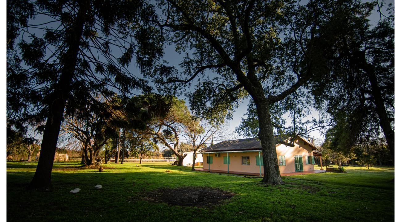 Espacio Ganesha: El refugio mágico para sanar el alma