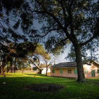 Espacio Ganesha: El refugio mágico para sanar el alma