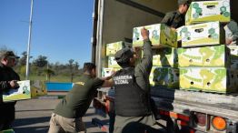 Operativo récord: secuestran casi diez toneladas de marihuana ocultas en un camión - Image 3