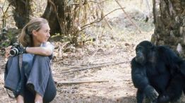 Jane Goodall falleció a los 91 años 