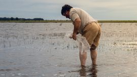 El agua volvió, y con ella la esperanza de que San Cayetano recupere su tradición pesquera.