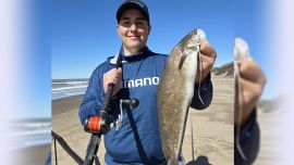 Además de chuchos, hay excelentes pejerreyes que se prenden a los cebos que apuntan a la variada, grandes brótolas que se disfrutan gratamente desde lo gastronómico y ya, algunos cañófilos, pinchan las primeras corvinas rubias.