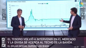 El Tesoro volvió a intervenir en el mercado - QR!