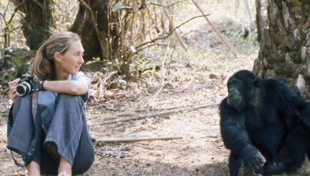 Jane Goodall falleció a los 91 años 