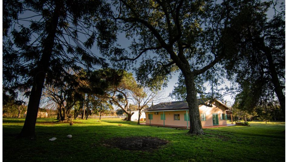 Espacio Ganesha: El refugio mágico para sanar el alma