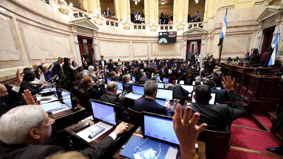 El Senado sesionará este jueves desde las 10 para tratar los vetos presidenciales al Garrahan y a las universidades.