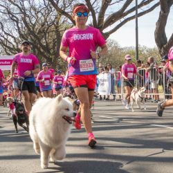 El domingo 12 de octubre vuelve Dogrun: la 13ª edición se hará en Laprida y Vial Costero, Vicente López.