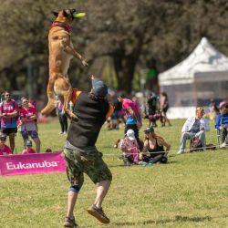 El domingo 12 de octubre vuelve Dogrun: la 13ª edición se hará en Laprida y Vial Costero, Vicente López.