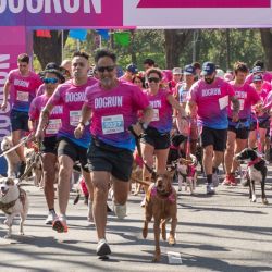 El domingo 12 de octubre vuelve Dogrun: la 13ª edición se hará en Laprida y Vial Costero, Vicente López.