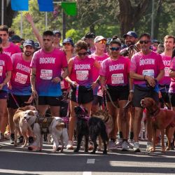 El domingo 12 de octubre vuelve Dogrun: la 13ª edición se hará en Laprida y Vial Costero, Vicente López.