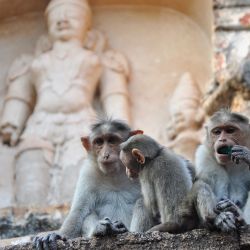 En dos aldeas al oeste de Bangalore, dos templos tallados hasta el infinito cuentan la historia de la zona.