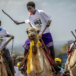 Jóvenes jinetes de camellos compiten durante la prueba amateur de las celebraciones del 32.º Derby Internacional de Camellos de Maralal, en Maralal. El 32.º Derby Internacional de Camellos de Maralal reunió a 37 jinetes profesionales de las comunidades Samburu, Turkana y Rendille, algunos de los cuales recorrieron más de 150 km con sus camellos para competir. Más allá del prestigioso premio económico, el evento constituye una importante muestra cultural, atrae a visitantes internacionales, impulsa el turismo local y promueve la paz entre comunidades históricamente divididas por conflictos por los recursos en una región gravemente afectada por el cambio climático. | Foto:LUIS TATO / AFP