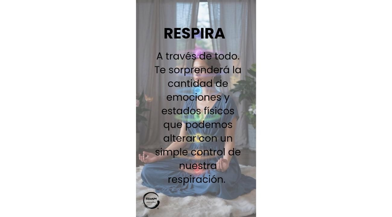 Meditar: un refugio en medio del ruido
