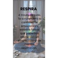 Meditar: un refugio en medio del ruido