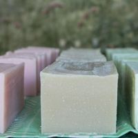 Origo: Inteligencia Ambiental para habitar la vida desde los aromas