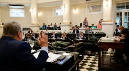 Ley de narcomenudeo Corrientes