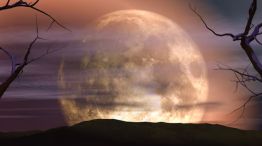 Luna llena de cosecha 