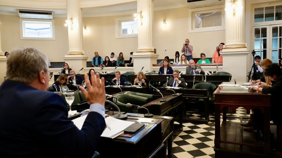 Ley de narcomenudeo Corrientes