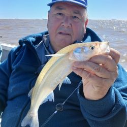 El último trimestre arranca con expectativas de muy buenos piques en todo el país. 