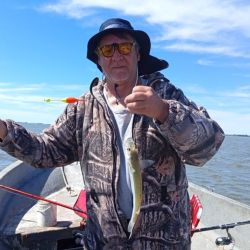 El último trimestre arranca con expectativas de muy buenos piques en todo el país. 