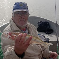 El último trimestre arranca con expectativas de muy buenos piques en todo el país. 