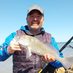 El último trimestre arranca con expectativas de muy buenos piques en todo el país. 