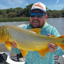 El último trimestre arranca con expectativas de muy buenos piques en todo el país. 