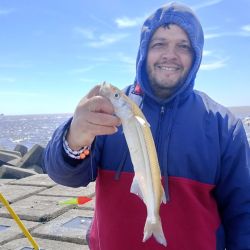 El último trimestre arranca con expectativas de muy buenos piques en todo el país. 