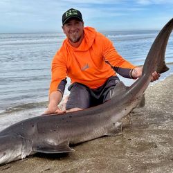 El último trimestre arranca con expectativas de muy buenos piques en todo el país. 