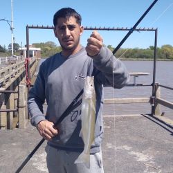 El último trimestre arranca con expectativas de muy buenos piques en todo el país. 