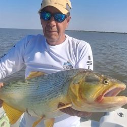 El último trimestre arranca con expectativas de muy buenos piques en todo el país. 