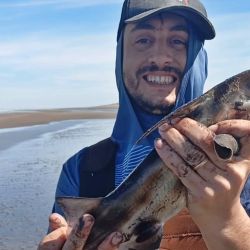 El último trimestre arranca con expectativas de muy buenos piques en todo el país. 