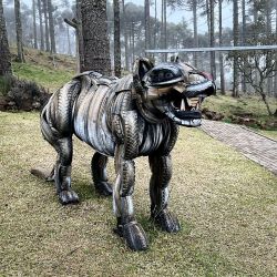 Santa Catarina ofrece sus atractivos en la ruta de camino a Florianópolis.