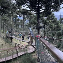 Santa Catarina ofrece sus atractivos en la ruta de camino a Florianópolis.