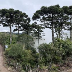 Santa Catarina ofrece sus atractivos en la ruta de camino a Florianópolis.