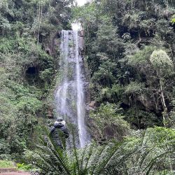 Santa Catarina ofrece sus atractivos en la ruta de camino a Florianópolis.