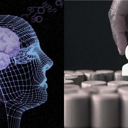 AccelRH | Foto:CONTENTNOTICIAS