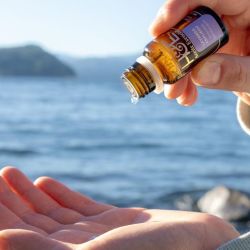 Hierbas & Esencias: naturaleza hecha bienestar | Foto:CONTENT NOTICIAS