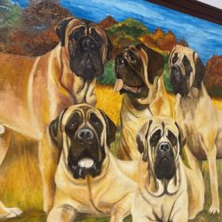 sala conan | Foto:CEDOC