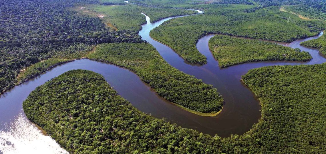 La regeneración es el nuevo horizonte de la belleza: el plan Visión 2050 de Natura