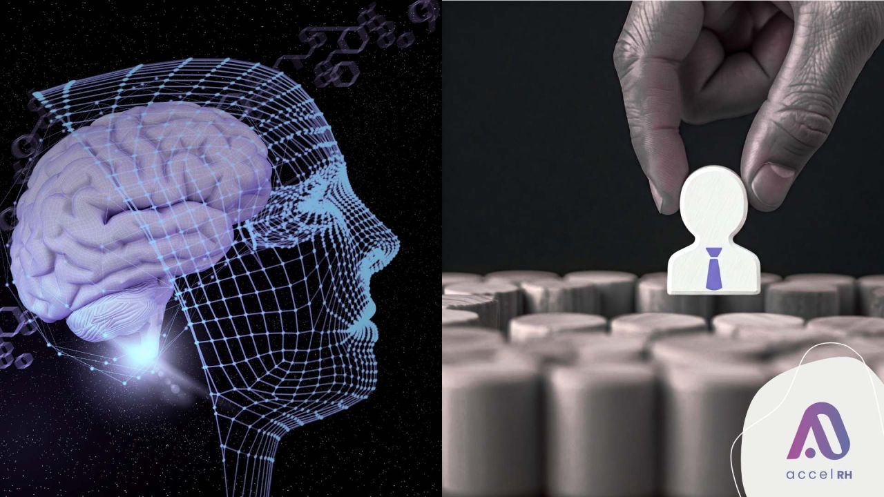 AccelRH | Foto:CONTENTNOTICIAS