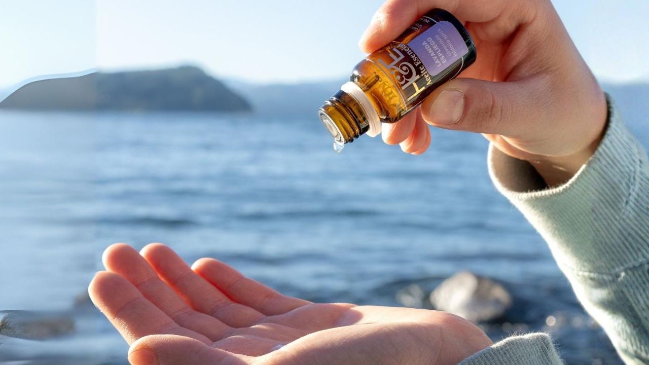 Hierbas & Esencias: naturaleza hecha bienestar | Foto:CONTENT NOTICIAS