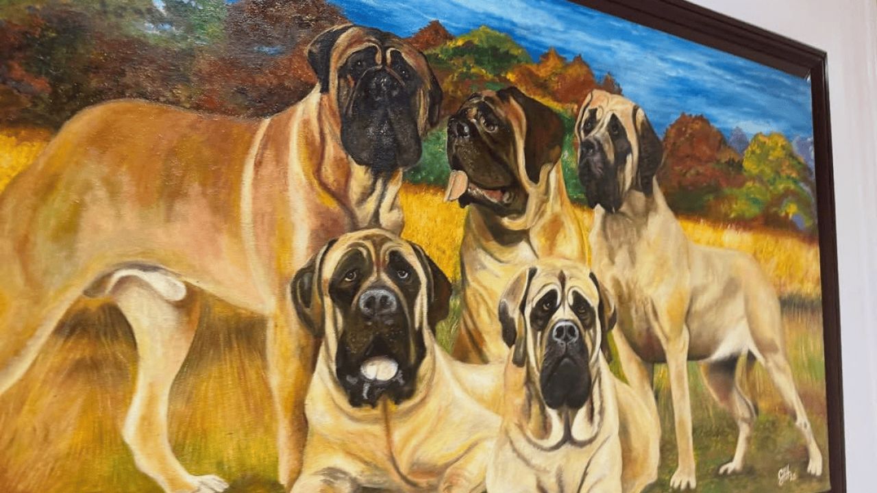 sala conan | Foto:CEDOC