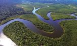 La regeneración es el nuevo horizonte de la belleza: el plan Visión 2050 de Natura