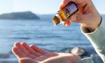 Hierbas & Esencias: naturaleza hecha bienestar