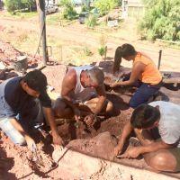 Proyecto Dino, una aventura imperdible