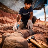 Proyecto Dino, una aventura imperdible