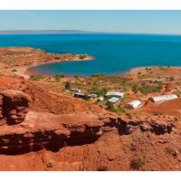 Proyecto Dino, una aventura imperdible
